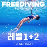 (서울) 프리다이빙 중급(Lv 1+2) 라이센스 패키지 과정