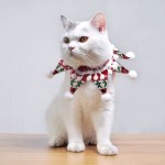 도그웨그 스타폼폼 스카프 고양이 크리스마스 케이프