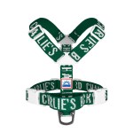 TRIP HARNESS / GREEN