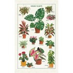 카발리니 패브릭포스터 - House Plants
