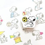 [K_2247-021] Snoopy Soccer