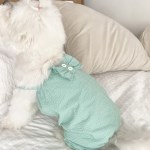 지지미 베베 강아지올인원 2color