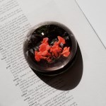 자연으로 유리 문진 - 능소화 꽃 paperweight flower