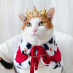 귀족 국왕 망토 왕관 고양이 강아지 옷 코스튬 생일 선물 MIYOPET