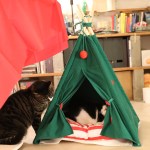 강아지 고양이도 이제는 메리 크리스마스 숨숨집 텐트
