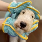 강아지 펫타올 댕댕이 뽀송 샤워가운