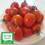 초록초록팜 유기농 대추 방울 토마토 친환경 방울토마토