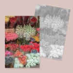 [기본/세로형] 유럽시리즈 엽서(양면) 07 꽃다발(흰 장미)
