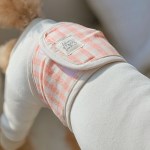 개달당 후르츠 체크 에어메쉬 매너벨트 강아지기저귀 3colors