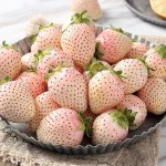상주 신데렐라 딸기 700g ~2.1kg 흰 딸기