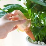 홈가드닝 텃밭 화분 식물 물주기 자동 급수기 저면관수