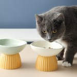 세라믹 강아지 고양이 밥그릇 물그릇 3컬러