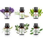 에센셜 아로마 오일 10ml 식물 추출 테라피 DD-12743