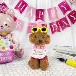 고양이 강아지 반려동물 올인원 생일 파티세트