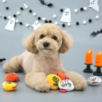[Peanuts] 피너츠 할로윈 토이세트