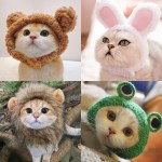 쏠펫 귀염뽀짝 코스튬 모자 강아지 고양이 파티 할로윈 촬영 이벤트