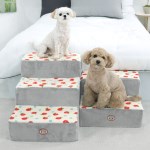 [패리스독] 탱귤 2단 & 3단 스텝