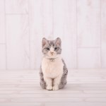 하마나카 양모 고양이 실버태비 양모펠트 DIY