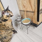 내츄럴 철제체어 모양 고양이 강아지 밥그릇 받침대 1P