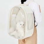 강아지 고양이 투명 백팩 이동가방 산책가방 우주선