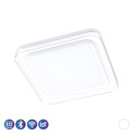 브라 아크릴 크리스탈 장식 LED 60W 리모컨 방등 삼색변환 조명