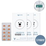 씨스팡 멍멍팔팔 조인트 90캡슐 3개월분 초록잎홍합 강아지 관절 영