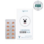씨스팡 멍멍팔팔 조인트 초록잎홍합 강아지 관절 영양제