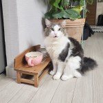강아지 고양이 프렌치 벤치모양 우드 식탁