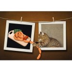 고양이 소시지 포스터 - 귀엽고 유머러스한 감성 인테리어