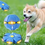 원반 공 변신장난감 프리스비 1개(색상 택1)