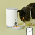 페페 강아지 고양이 ioT 자동급식기 정시 정량  앱연동 SF-100PRO