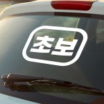 크고 명확한 초보 초보운전 자동차 스티커