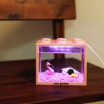 LED 블록어항 분홍 플라밍고 친구들과 마리모M 키우기