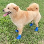 강아지 레인부츠 반려견 장화 산책 외출 신발 미끄럼 방지