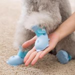 강아지 장화 반려견 산책 레인부츠 외출 신발 미끄럼 방지
