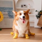 강아지 장화 반려견 산책 대형견 레인부츠 외출 신발