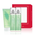 엘리자베스아덴 3종 세트 (샤워젤200ml+미스트236ml 2개)