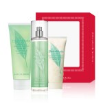 엘리자베스아덴 3종 세트 (샤워젤200ml+미스트236ml+바디크림100ml)