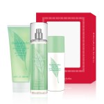 엘리자베스아덴 3종 세트 (샤워젤200ml+미스트236ml+데오도란트150ml