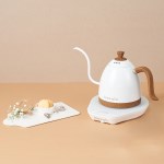 브뤼스타 아티산 전기드립포트 PRO 600ml