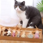 프리미엄 고양이 이갈이 낚시 막대 장난감 7종세트