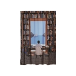 커튼 A Library by the Tyrrhenian Sea, 일리야 밀스타인