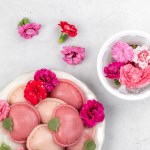 국산 생화 [ 카네이션 식용꽃 10송이 ] 꽃 비빔밥 샐러드 화전 만들