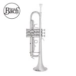 바하 Bb트럼펫 TR650S 바흐트럼펫 BACH 트롬펫