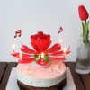 멜로디 연꽃초 생일축하 폭탄초 회전초 5color 인싸 촛불 케이크초