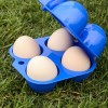 PH 캠핑 야외 휴대용 계란 보관함 케이스