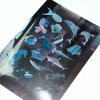 해양생물 투명 리무버블 스티커