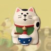 concombre 구복 복고양이