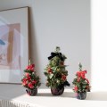포인세티아 미니 트리