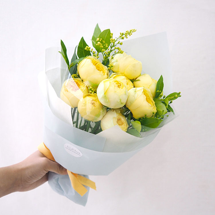 [카탈리나 장미] 몽글몽글 귀여운 레몬빛 장미